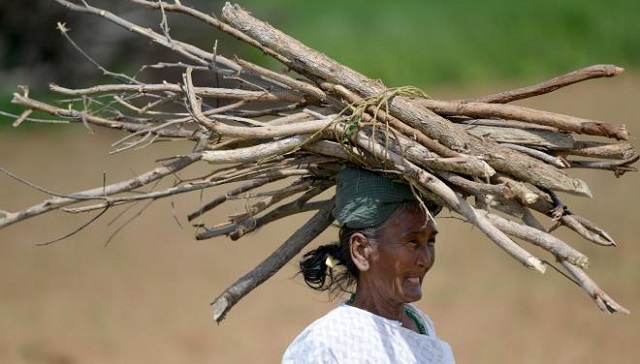 Woman collecting wood for cooking / Photo credit Soneva Foundation @flickr