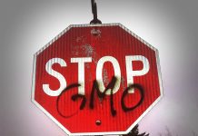 Genetically Modified Organism: Where Myanmar stands gmo 254539 1280