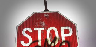 Genetically Modified Organism: Where Myanmar stands gmo 254539 1280