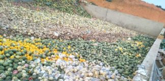 Fruit Traders Angry About Border Delays Melons are rot