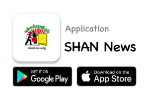 shannewsApp minimal optim shannewsApp minimal optim