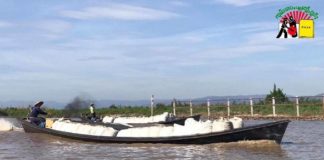 Shan Farmers Struggling Amid Lockdown Tomatoes carry boat in Inle Lake