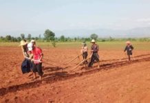 Farmers Protest Land Grabs In Siseng Township Southern Shan State