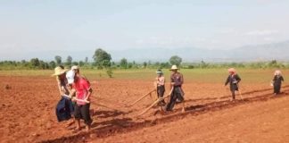 Pa-O Farmers Face Trial After Military Refuses to Drop Charges Against Them Farmers Protest Land Grabs In Siseng Township Southern Shan State