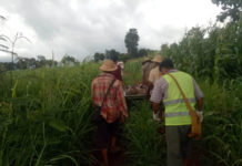 Kan Lint Let Myar Social Volunteer group carrying the dead body of Villager Chit Maung from his corn field