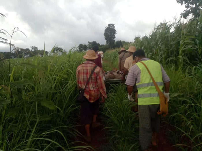 Kan Lint Let Myar Social Volunteer group carrying the dead body of Villager Chit Maung from his corn field