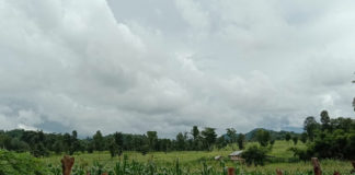 Govt Announces Plan to Seize and Redistribute 1,000 Acres in Kesi Kesi 1