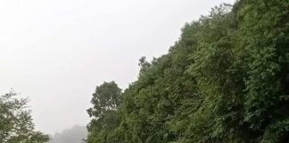 Ethnic Armed Organisations Clash Over Territory In Northern Shan State Kyautme Pang Hpyet villagers