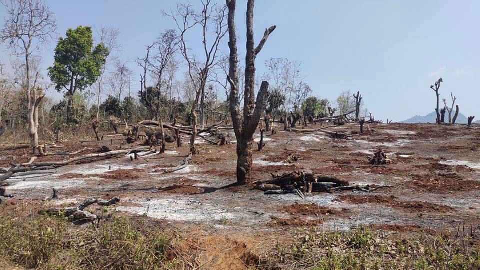 Deforestation cause of Wildfire