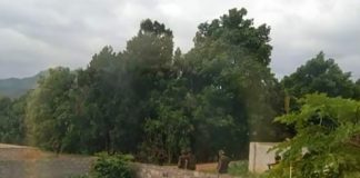 SAC Soldiers Forced Male Residents in Prone Position and Searched in Phaikhun Junta soldiers in Phaikhun.