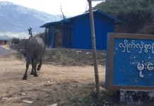 Three Villagers Injured By Regime Shelling In Mongpaw Mongpaw village 1024x417 1