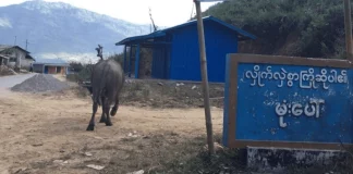 Three Villagers Injured By Regime Shelling In Mongpaw Mongpaw village 1024x417 1