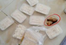 “Escape from Hell: Survivors Speak Out About Human Trafficking Ordeal in the “Wa” Region Number boxes of plain rice with only one piece of steamed chicken
