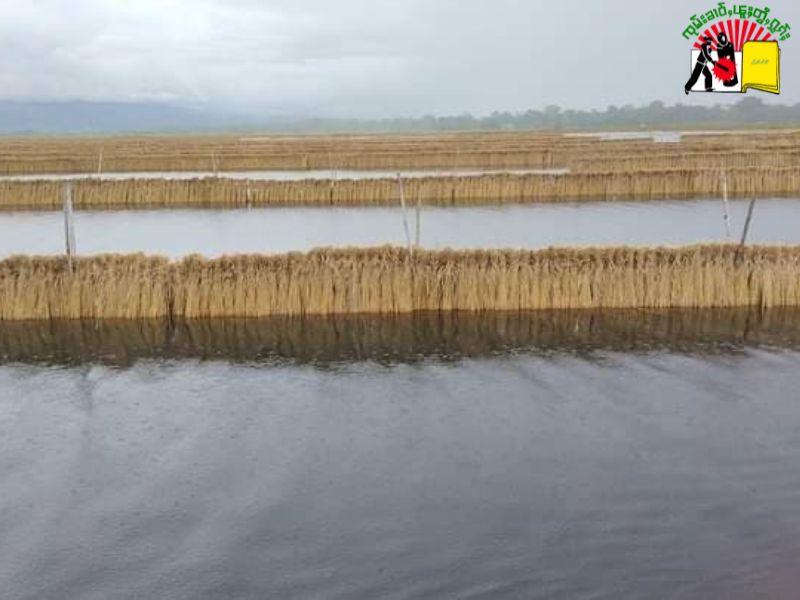Flooded paddy fields in raining season