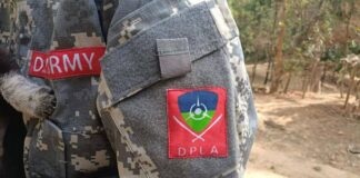 Junta Uses Chemical Weapons in Northern Shan State DPLF DPLA
