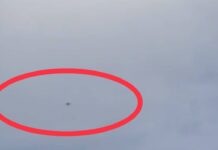 Regime Jet Fighter Bombs TNLA Camp in Muse Township Junta jet fighter shelled a TNLA camp in Muse, northern Shan State