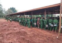 PNO’s Collaboration with Military Council: Compelling Youth into Military Training Raises Concerns PNO PNA new recruitment