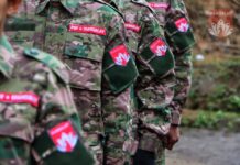 Mandalay PDF Attacks Pyin Oo Lwin, Captures Nawngkio Township Village Mandalay PDF