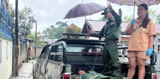 Lashio Township Airstrikes Kill Five, Injure Eight A woman was injured by junta aircraft bomb