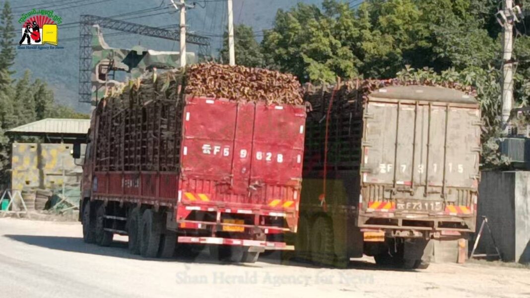 The trucks at the Myanmar China border