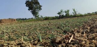 Farmers in Crisis as Thailand Halts Fuel Exports to Myanmar Local farms in Shan State