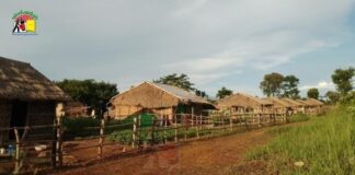 Shan State IDP Crisis Demands Urgent Aid as Military Offensive Spreads Displaced Families Take Refuge in Makeshift Shelters in Shan State