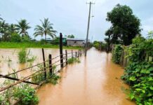 Floods and Debt Push Inle Region Farmers to the Brink Flooding hits Inle Lake area