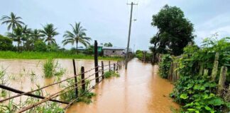 Floods and Debt Push Inle Region Farmers to the Brink Flooding hits Inle Lake area