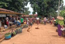 Escalating Junta Airstrikes Force Over 2,000 Civilians to Flee in Kyaukme Township IDPs at Nawngping, Kyaukme Township