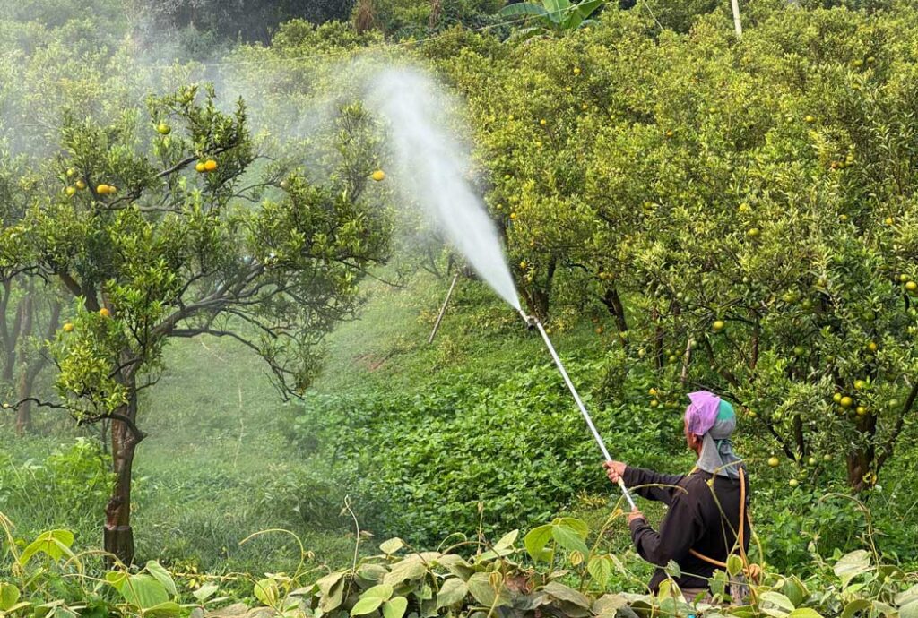 worker spray pesticides