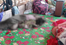 Kyaukme Massacre: Monk and Family Killed, Teenage Girl Raped Amid Junta Offensive Victims of the Kyaukme massacre