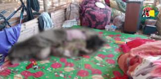 Kyaukme Massacre: Monk and Family Killed, Teenage Girl Raped Amid Junta Offensive Victims of the Kyaukme massacre