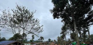 Landmines Threaten Returnees in Pai Khun, Preventing Farming and Recovery Internally displaced persons (IDPs) shelter in Pai Khun