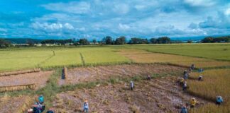 Fear Grows in Pong Inn as Junta Shifts to Lottery-Based Recruitment Livelihoods in Pong Inn, southern Shan State