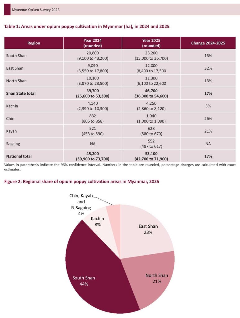 Areas under opium poppy cultivation in Myanmar (ha), 1n 2024 and 2025
