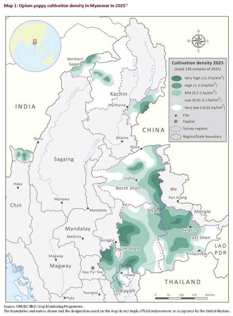 Opium poppy cultivation density in Myanmar in 2025