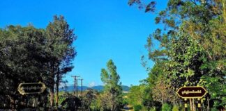 Residents Say Junta and PNO Soldiers Demand Food in Ywangan Villages A road leading to Ywangan Township, southern Shan State