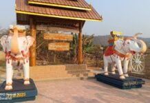 Villagers Detained and Beaten After Clash Between Junta and SSPP in Kyaukme Pong Woe village tract in Kyaukme Township, northern Shan State