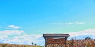 Displaced Families Returning Home Face Extortion by PNO Militia Samkar, southern Shan State