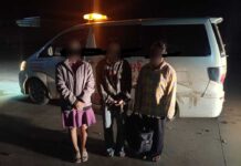 Fake Job Offer Lures Three Women into Sex Trade in Muse Three women rescued in Muse after being lured into the sex trade by a fake job offer