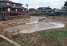 Rice Production Declines in Inle Lake Region Inle Lake in southern Shan State