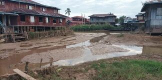 Rice Production Declines in Inle Lake Region Inle Lake in southern Shan State