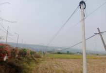 Chinese Investment Drives Farmland Boom in Hsenwi Amid Legal Concerns Paddy fields in Hsenwi