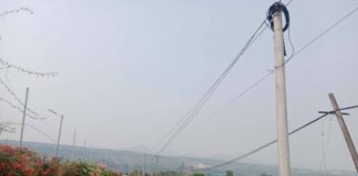 Chinese Investment Drives Farmland Boom in Hsenwi Amid Legal Concerns Paddy fields in Hsenwi