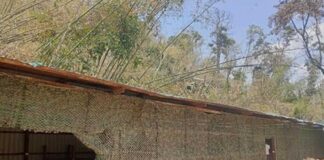 Scam Raid in Mong Pan Sparks Questions Over Who Allowed It to Operate A remote compound in Mong Pan Township where authorities say an online scam operation was uncovered