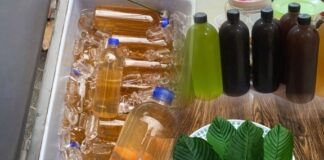 Kratom Use Among Youth Rising Across Shan State as Open Sales Expand Bottles of kratom drink displayed for sale at a shop in Shan State