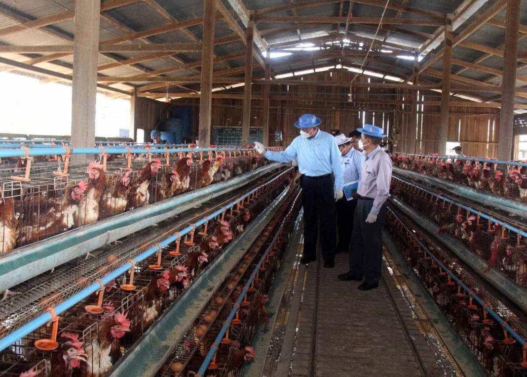 Poultry farms Poultry farms