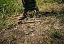 Displacement crisis in Karenni State forces immediate landmine clearance A man walks near an anti personnel mine Photo Sean Sutton