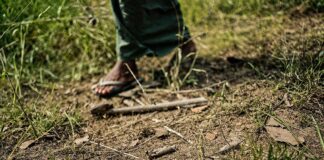 Displacement crisis in Karenni State forces immediate landmine clearance A man walks near an anti personnel mine Photo Sean Sutton