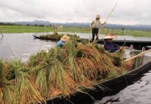 Shan Farmers Drown in Debt as Rising Costs, Floods and Conflict Take Toll Shan farmers